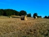 Hay Making